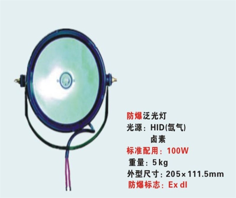 供应DGY100／24防爆泛光工作灯  